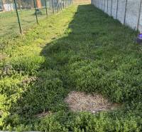 Der Garten des Einfamilienhauses in der Platanová-Straße in Miloslavov mit Rasen und Umzäunung.