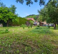 Ein Garten mit Rasen und Bäumen bei einem Einfamilienhaus in der Partizánska-Straße in Malý Krtíš.