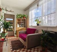 Innenraum eines Einfamilienhauses mit Sofa, Pflanzen und Dekorationen, Sonnenlicht.