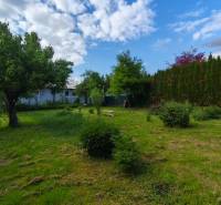 Ein Garten im Einfamilienhaus in der Partizánska-Straße in Malý Krtíš mit Obstbäumen.