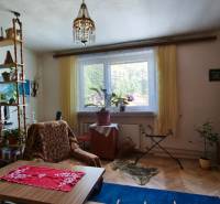 Wohnzimmer in einem Einfamilienhaus mit Holzmöbeln, Teppich, Zimmerpflanzen und großem Fenster.