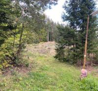Ein Waldgrundstück in Kremnické Bane, ideal zum Wohnen, umgeben von Grün und Bäumen.