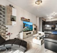 Wohnzimmer einer 3-Zimmer-Wohnung in der Vukovarská-Straße, mit schwarzem Sofa und Fernseher.