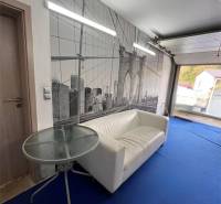 Ein Zimmer in einem Einfamilienhaus mit einem weißen Sofa, einer Tapete mit einer Brücke und einem blauen Teppich.