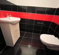 Badezimmer in einem Einfamilienhaus mit Sanitäranlagen, schwarz-roten Fliesen und Waschbecken.