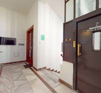 Innenraum eines Büros mit Aufzug, Treppe, Fernseher und Pflanze in Bratislava - Altstadt.