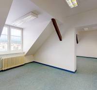 Dachgeschossbüros mit weißen Wänden, einem Heizkörper und grünem Teppich.