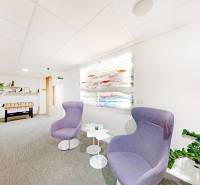 Büros mit bequemen Sesseln, einem Tisch, Topfpflanzen und einem Tischfußball.