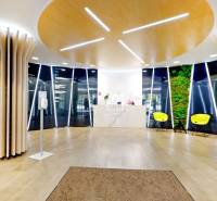 Büros mit Holzdekor, bunten Stühlen und einer grünen Wand.