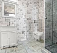 Badezimmer in einer 2-Zimmer-Wohnung mit Waschbecken, Duschkabine und dekorativen Fliesen.