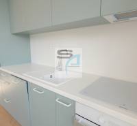 Küche in einer 2-Zimmer-Wohnung mit Spüle, Induktionskochfeld und Boden mit Holzdekor.