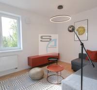 Wohnzimmer in einer Zweizimmerwohnung mit Holzboden und Sofa.