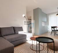 Wohnzimmer in einer 2-Zimmer-Wohnung mit Sofa, Esstisch und Holzboden.