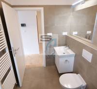 Badezimmer in einer 2-Zimmer-Wohnung mit Toilette, Waschbecken und Spiegel.