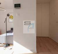 Innenraum einer 2-Zimmer-Wohnung mit Holzboden, rundem Kronleuchter und grauem Sofa.