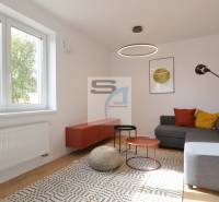 Wohnzimmer in einer 2-Zimmer-Wohnung, Sitzgelegenheit, bunte Kissen, Couchtische, Teppich.