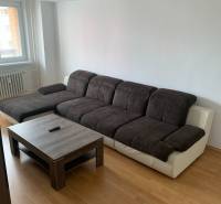 Ein Sofa mit einem Couchtisch und einem Boden in Holzoptik in einer 2-Zimmer-Wohnung.