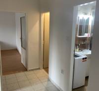 Flur in einer 2-Zimmer-Wohnung mit Blick auf das Badezimmer und das Zimmer mit Holzboden.