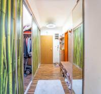 Flur in einer 2-Zimmer-Wohnung mit Holzboden und einem Schuhschrank.