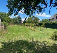 Ein Garten mit Rasen und Weinreben in Bratislava - Podunajské Biskupice, ideal für Grundstücke - Wohnen.