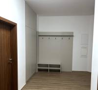 Eingangsbereich einer 4-Zimmer-Wohnung mit weißen Wänden und einem Boden in Holzoptik.