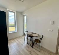 Essbereich in einer 2-Zimmer-Wohnung mit Holzboden und großen Fenstern.