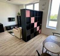 Wohnzimmer in einer 2-Zimmer-Wohnung mit Regalwand und Boden in Holzoptik.