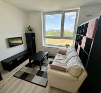 Wohnzimmer in einer 2-Zimmer-Wohnung mit Sofa, Fernseher und Holzboden.