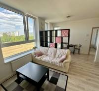 Wohnzimmer einer Zweizimmerwohnung mit Holzboden, Sofa und Couchtisch.