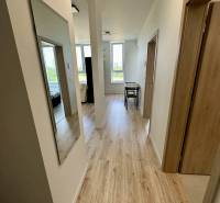 Flur in einer 2-Zimmer-Wohnung mit Holzboden, heller Farbe und Wandspiegel.