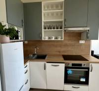 Küche in einer 2-Zimmer-Wohnung mit weißem Kühlschrank und Holzelementen.