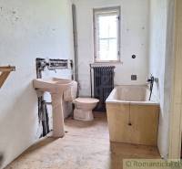 Ein Badezimmer in einem Einfamilienhaus mit Sitzbadewanne, Heizkörper und einem Boden in Holzoptik.