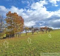 Herbstlandschaft mit Obstbäumen am Hang bei Liptovské Beharovce.