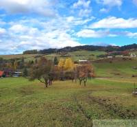 Landschaft in Liptovské Beharovce mit Obstbäumen und Einfamilienhäusern im Hintergrund.
