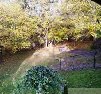 Der Garten bei der Hütte in Dudince mit Herbstbäumen und Rasen.