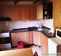 Eine Küche in einer Hütte mit einem Holzboden, einem Kochfeld und einer Mikrowelle.