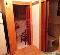 Innenraum der Hütte mit Holzboden, Badezimmer und Toilette.