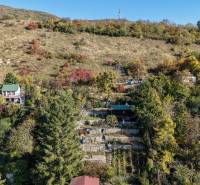 Hügelige Landschaft in den Gärten bei Bratislava auf dem Rückweg in Devín mit Laubbäumen.