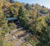Ein Haus umgeben von Bäumen in Gärten auf dem Rückweg in Bratislava - Devín.