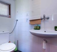 Badezimmer mit Dusche und Waschbecken, Gärten. Weiße Fliesen und grüne Accessoires.