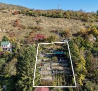 Herbst in den Gärten am Rückweg in Bratislava - Devín unter dem bewaldeten Hügel.