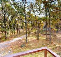 Die Waldumgebung bei der Hütte am Gazárka in Šaštín-Stráže mit Herbstlaub und einem Weg.
