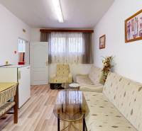 Izba in der Hütte mit einem Boden in Holzoptik, einem Sofa und einem Sessel.