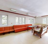 Helles Wohnzimmer mit Sofas und Tischen, große Fenster, Blick auf den Wald.