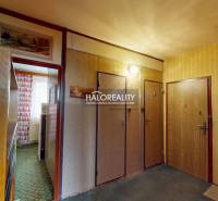 Eingangsflur in einer 3-Zimmer-Wohnung mit Holzelementen und gemustertem Teppich.