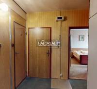 In der 3-Zimmer-Wohnung befindet sich ein Flur mit Holztüren und einem durchsichtigen Licht.