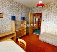 Innenraum einer 3-Zimmer-Wohnung mit Retro-Tapeten, Möbeln und einer roten Lampe.