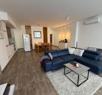 Wohnzimmer mit blauem Sofa und Küche in einer Zweizimmerwohnung, Boden mit Holzdekor.