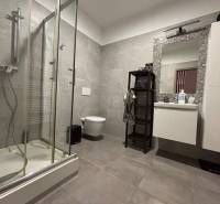 Badezimmer einer Zweizimmerwohnung mit moderner Duschkabine und Platz für Hygieneartikel.