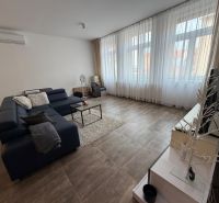 Wohnzimmer in einer 2-Zimmer-Wohnung mit dunklem Sofa und Holzboden.